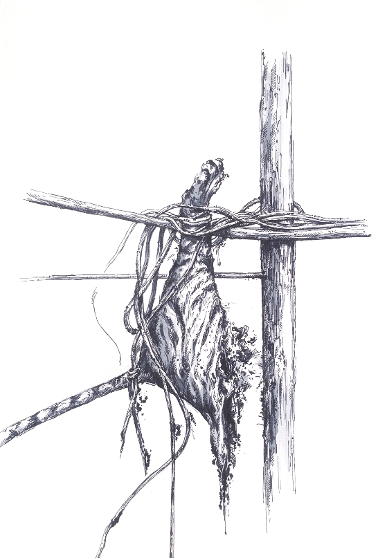 2016-2018_Le Phi Long_Wandering In Indochina_Hunting As A Metaphor For Politics_6