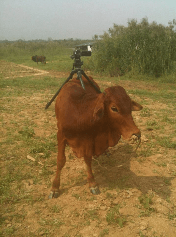 2012_Le Phi Long and Nakamoto Hirofumi_Bãi Giữa Sông Hồng_3