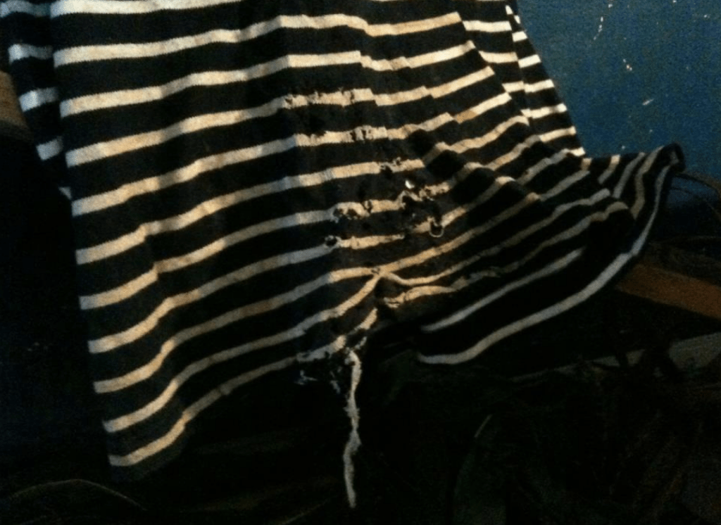 2012_Le Phi Long and Nakamoto Hirofumi_Bãi Giữa Sông Hồng_5