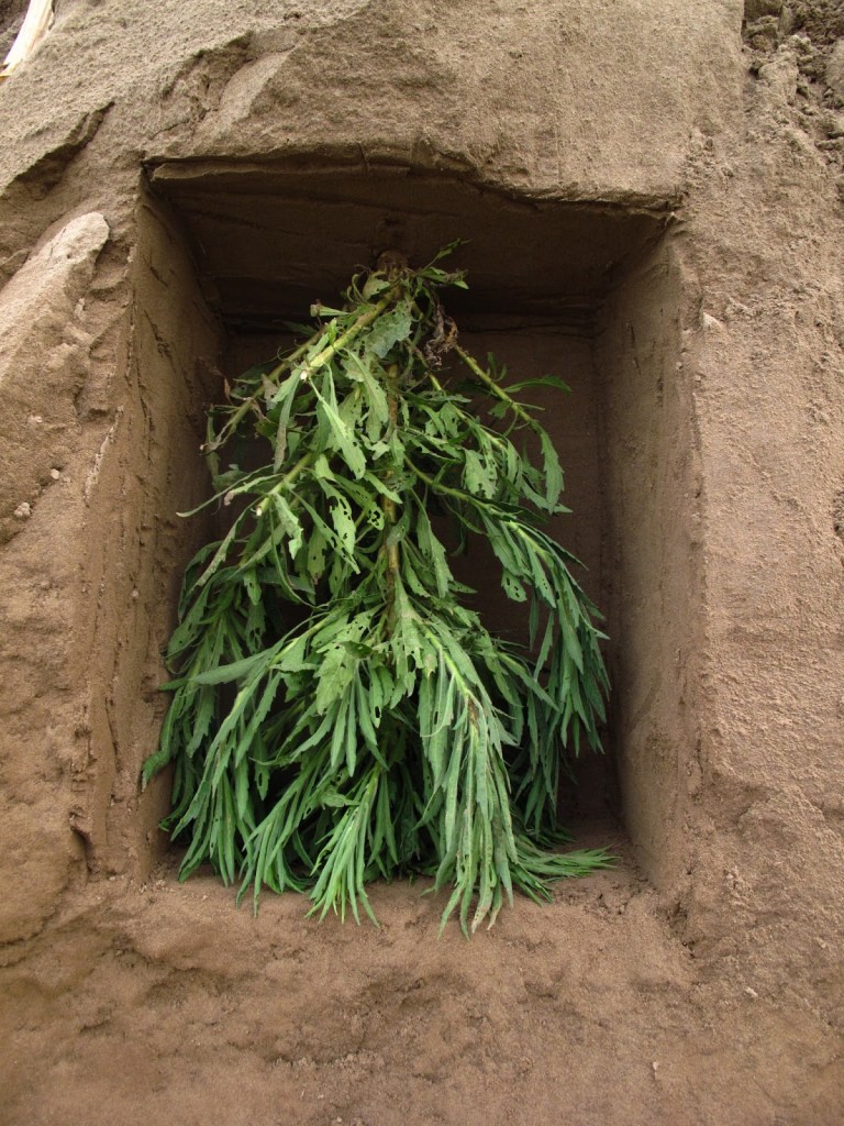 2013_Le Phi Long_Cellar - Chín Hầm_10