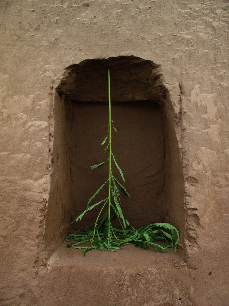 2013_Le Phi Long_Cellar - Chín Hầm_12