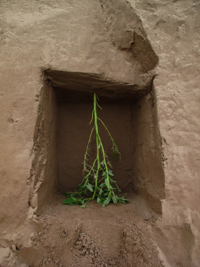 2013_Le Phi Long_Cellar - Chín Hầm_14