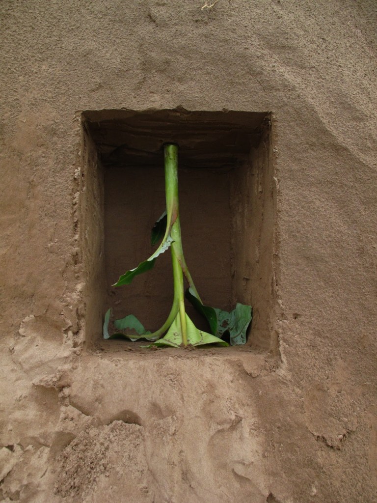 2013_Le Phi Long_Cellar - Chín Hầm_15