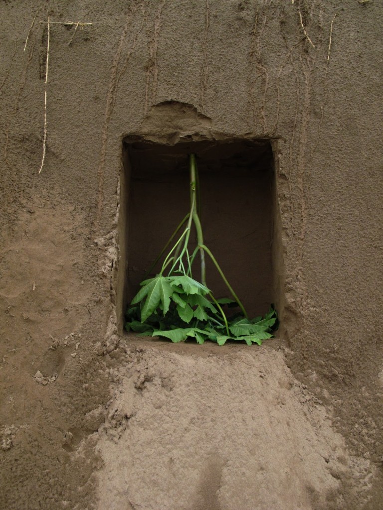 2013_Le Phi Long_Cellar - Chín Hầm_16