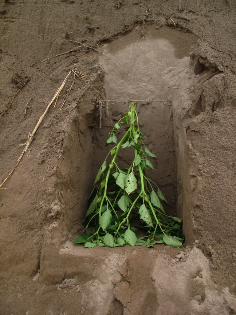 2013_Le Phi Long_Cellar - Chín Hầm_17