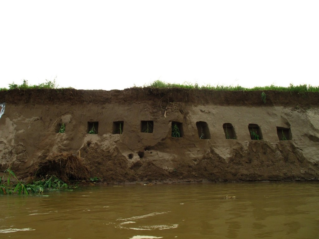 2013_Le Phi Long_Cellar - Chín Hầm_18