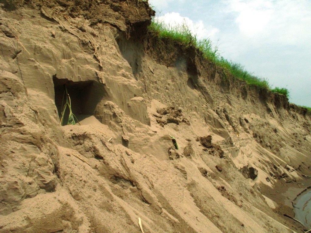 2013_Le Phi Long_Cellar - Chín Hầm_20