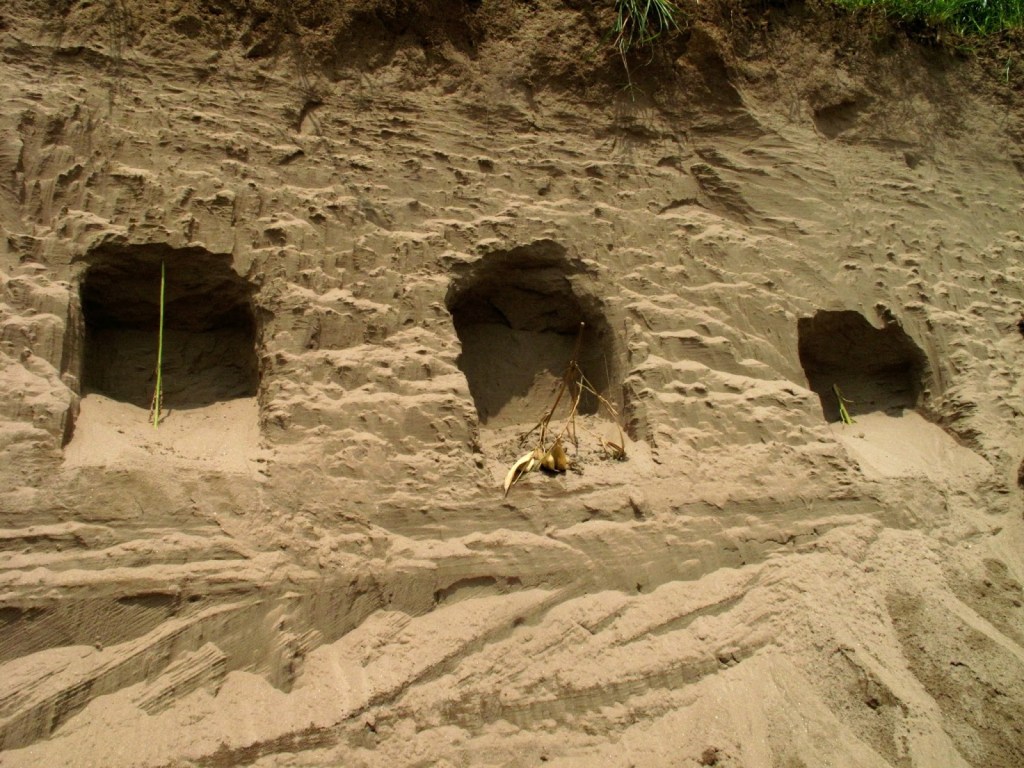 2013_Le Phi Long_Cellar - Chín Hầm_21