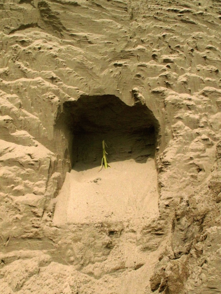 2013_Le Phi Long_Cellar - Chín Hầm_24