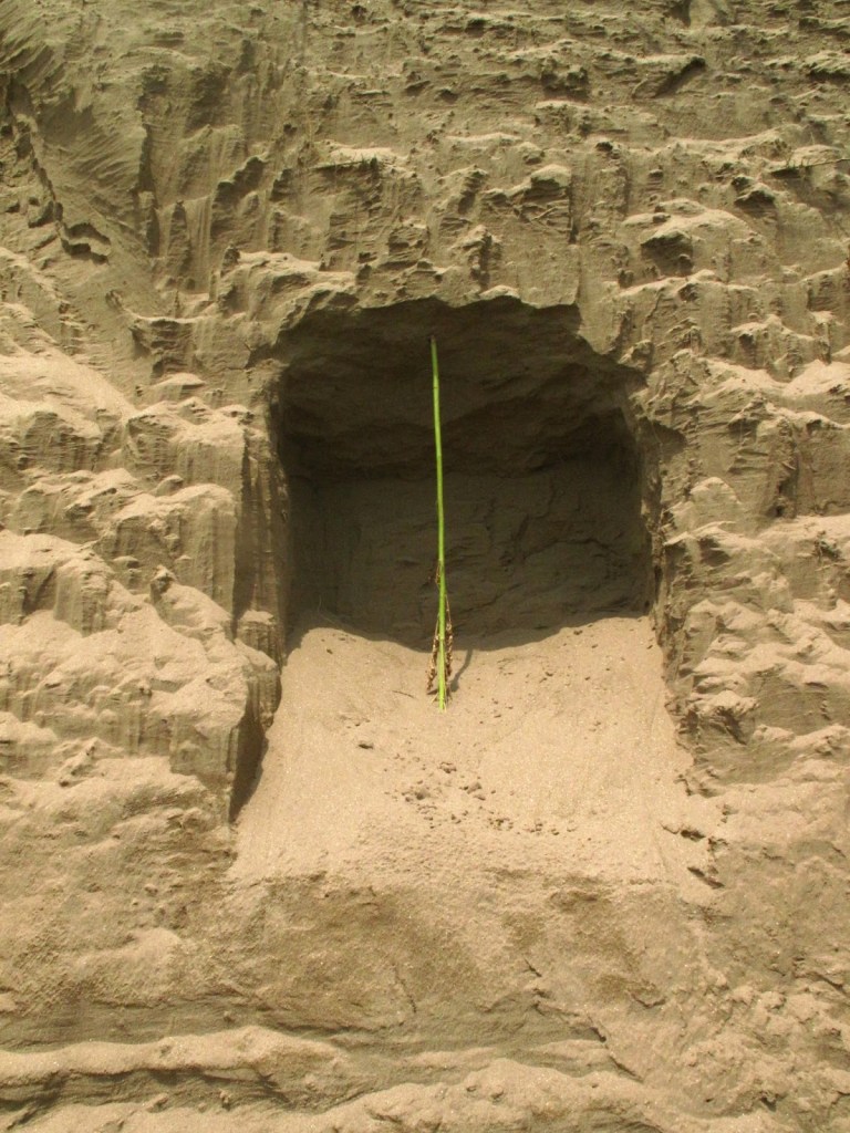 2013_Le Phi Long_Cellar - Chín Hầm_25