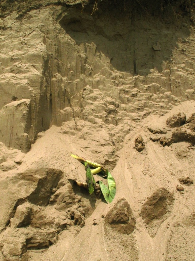 2013_Le Phi Long_Cellar - Chín Hầm_26