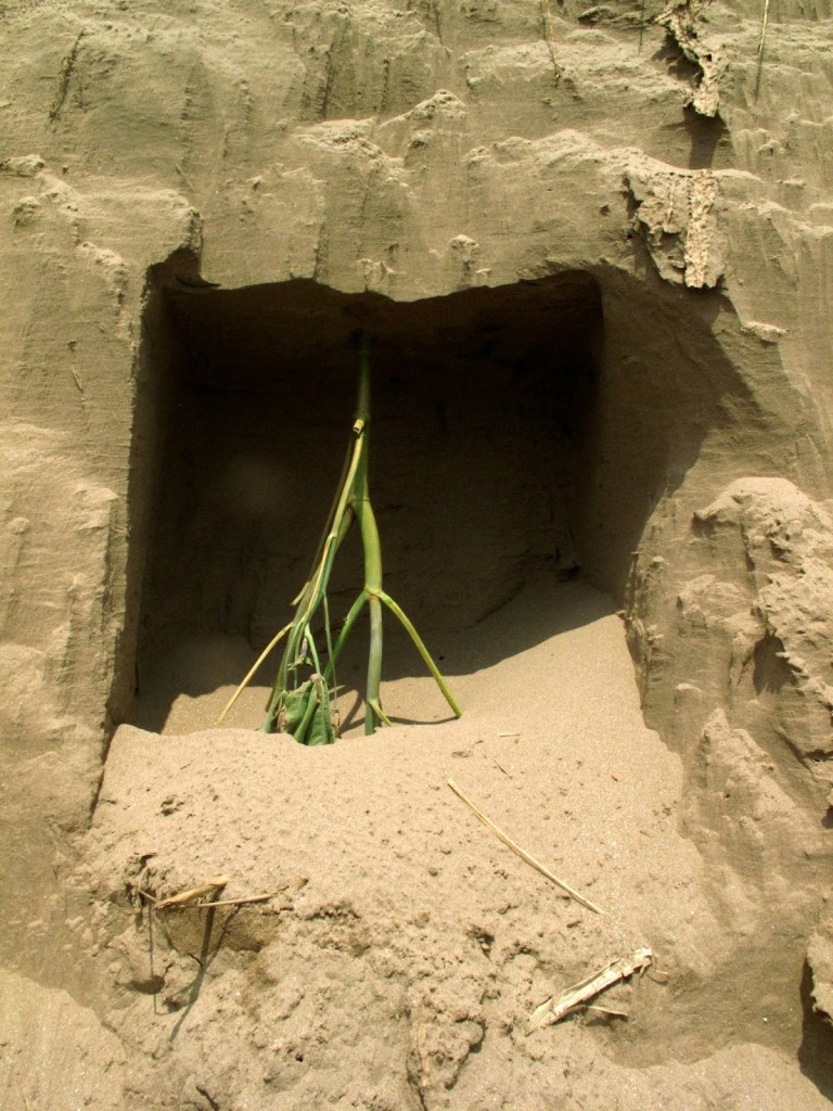 2013_Le Phi Long_Cellar - Chín Hầm_28