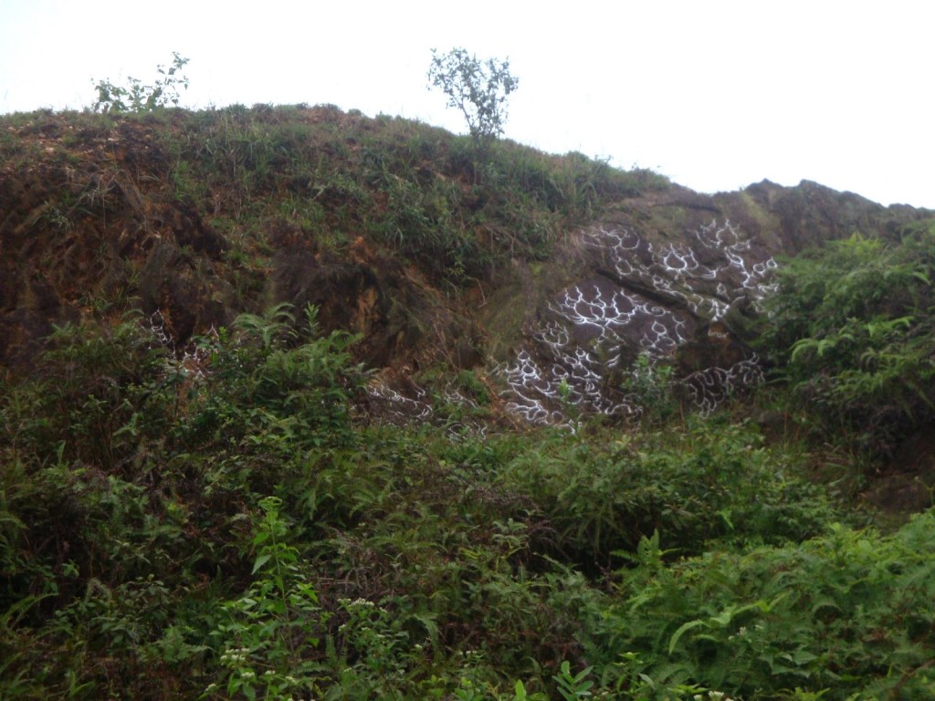 2011_Le Phi Long_Drawing Lotus_2