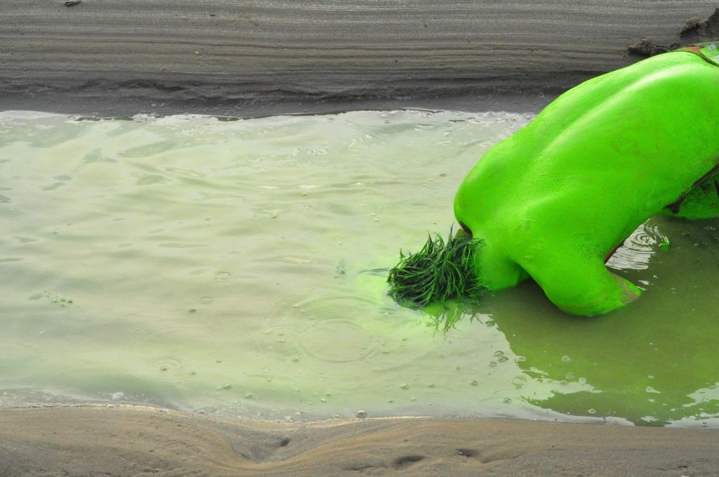 2013_Le Phi Long_Green People and The City_12