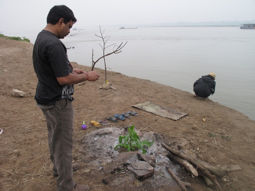 2012_Le Phi Long_Grows not the right place_10