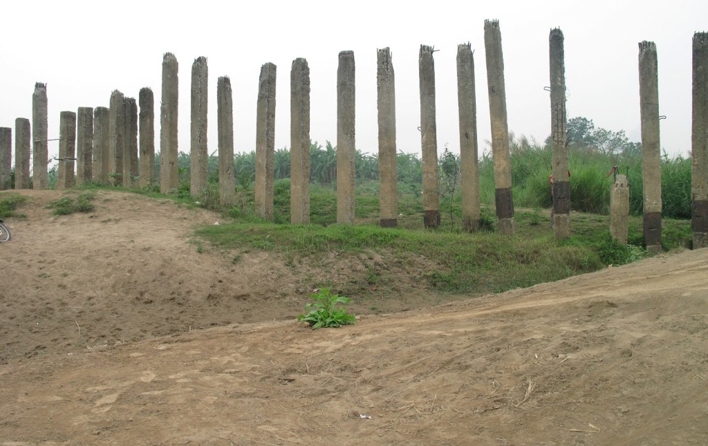 2012_Le Phi Long_Grows not the right place_11