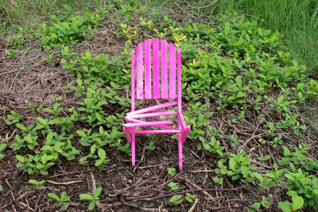 2013_Le Phi Long_Natural Bridge_1