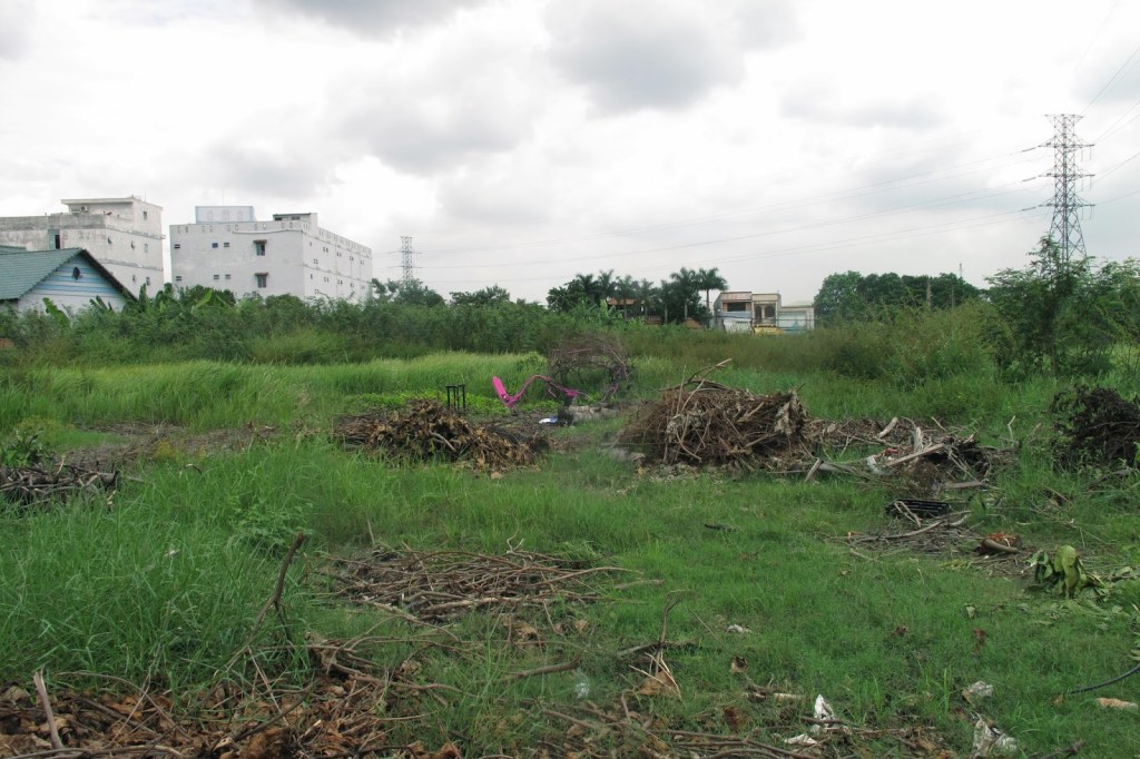 2013_Le Phi Long_Natural Bridge_4