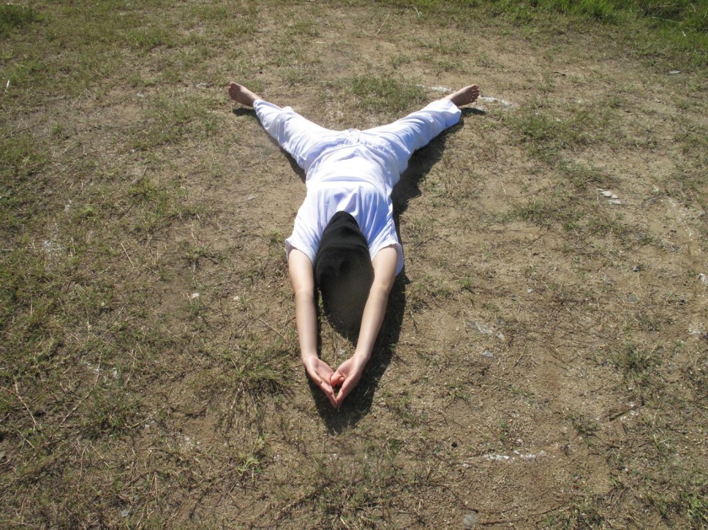 2013_Le Phi Long_Peace Logos_1