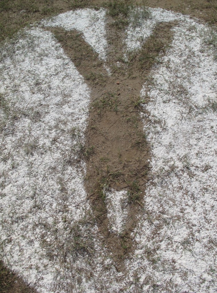 2013_Le Phi Long_Peace Logos_3