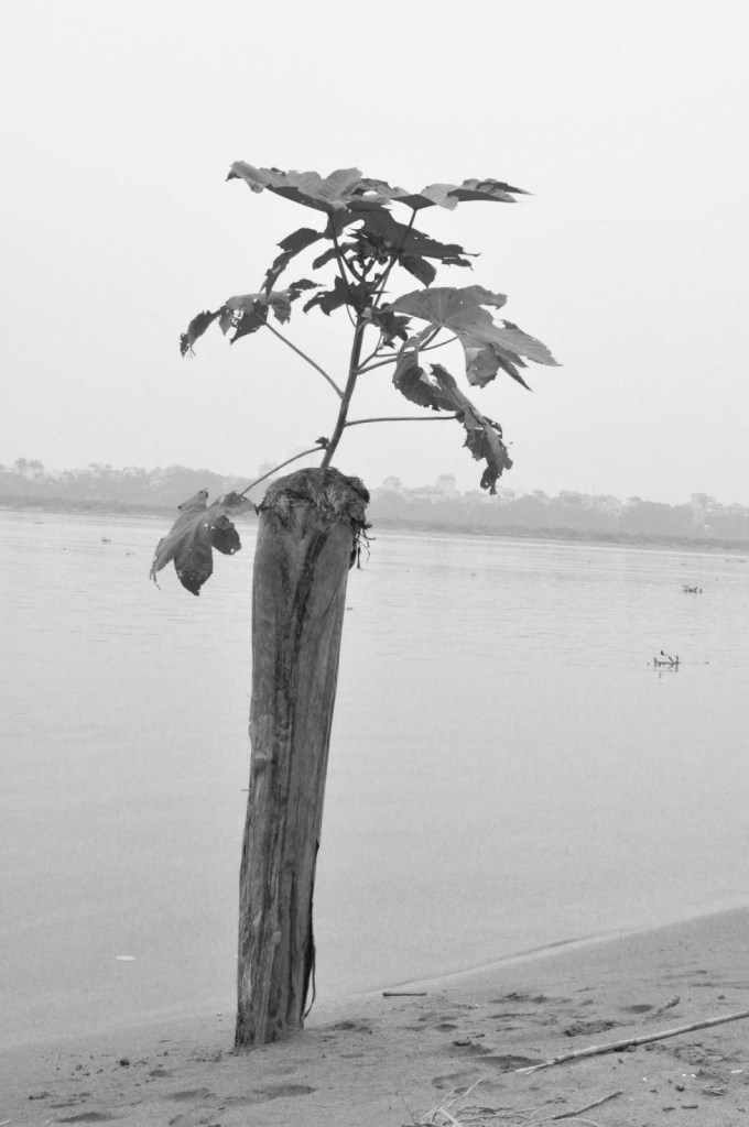 2012_Le Phi Long_Red River_9