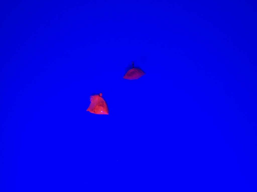 2015_Le Phi Long_Wandering In Indochina_Sac-Sat Experimental Program_7