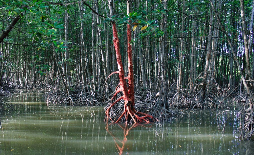 2015_Le Phi Long_Wandering In Indochina_Sac-Sat Experimental Program_8