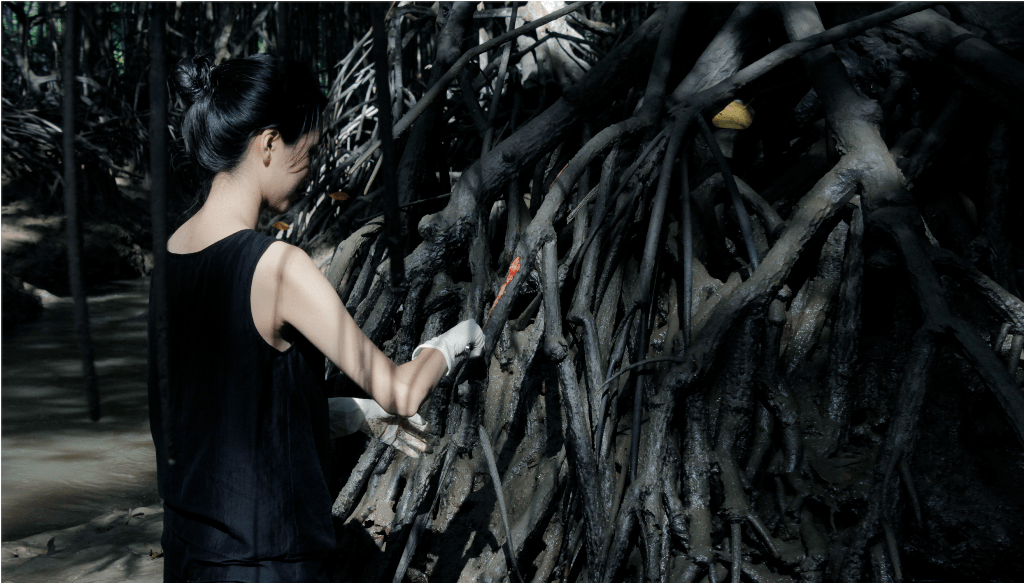 2015_Le Phi Long_Wandering In Indochina_Sac-Sat Experimental Program_9