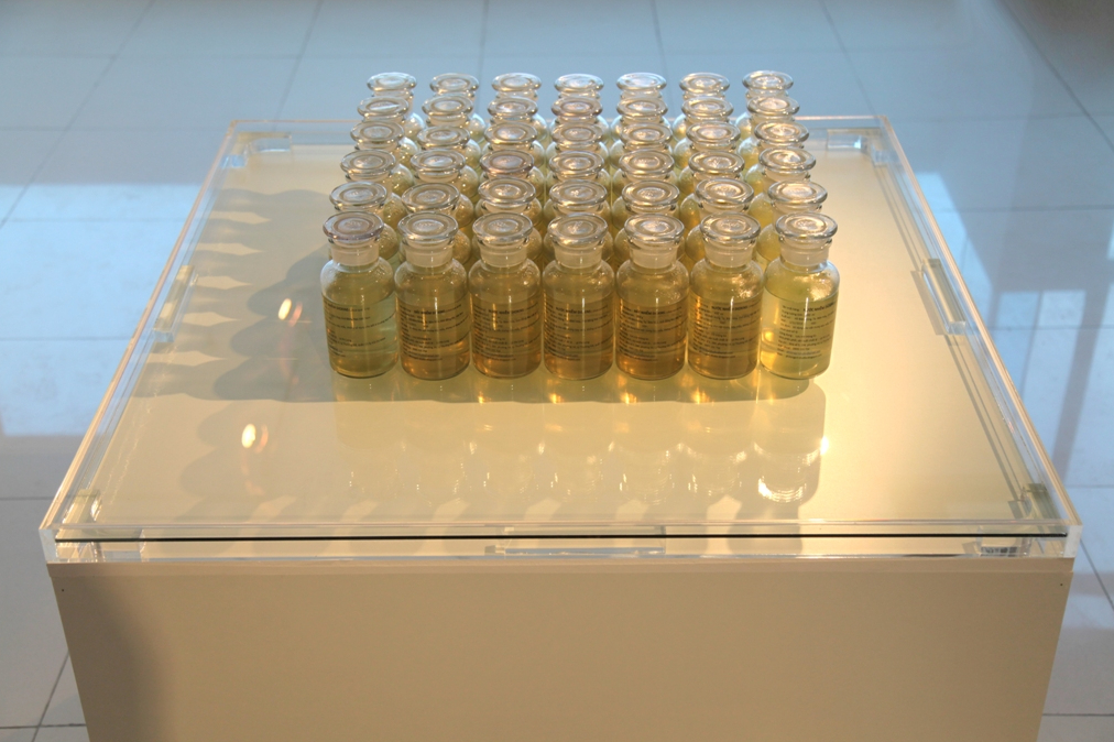 2015_Le Phi Long_Sac-Sat_Silent Lake Project_4