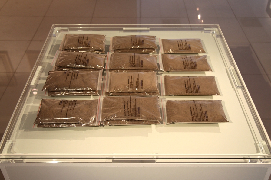 2015_Le Phi Long_Sac-Sat_Silent Lake Project_5