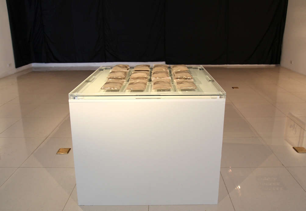 2015_Le Phi Long_Sac-Sat_Silent Lake Project_6