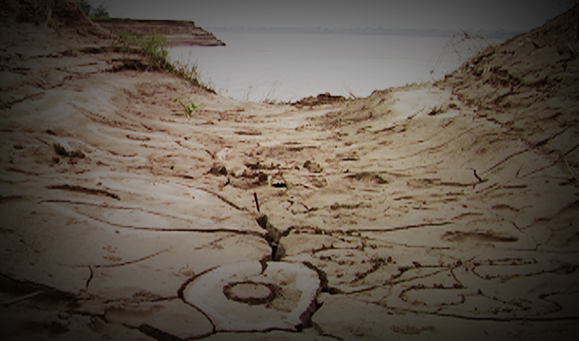 2012_Le Phi Long and Carol Canto_The Trees and People_2