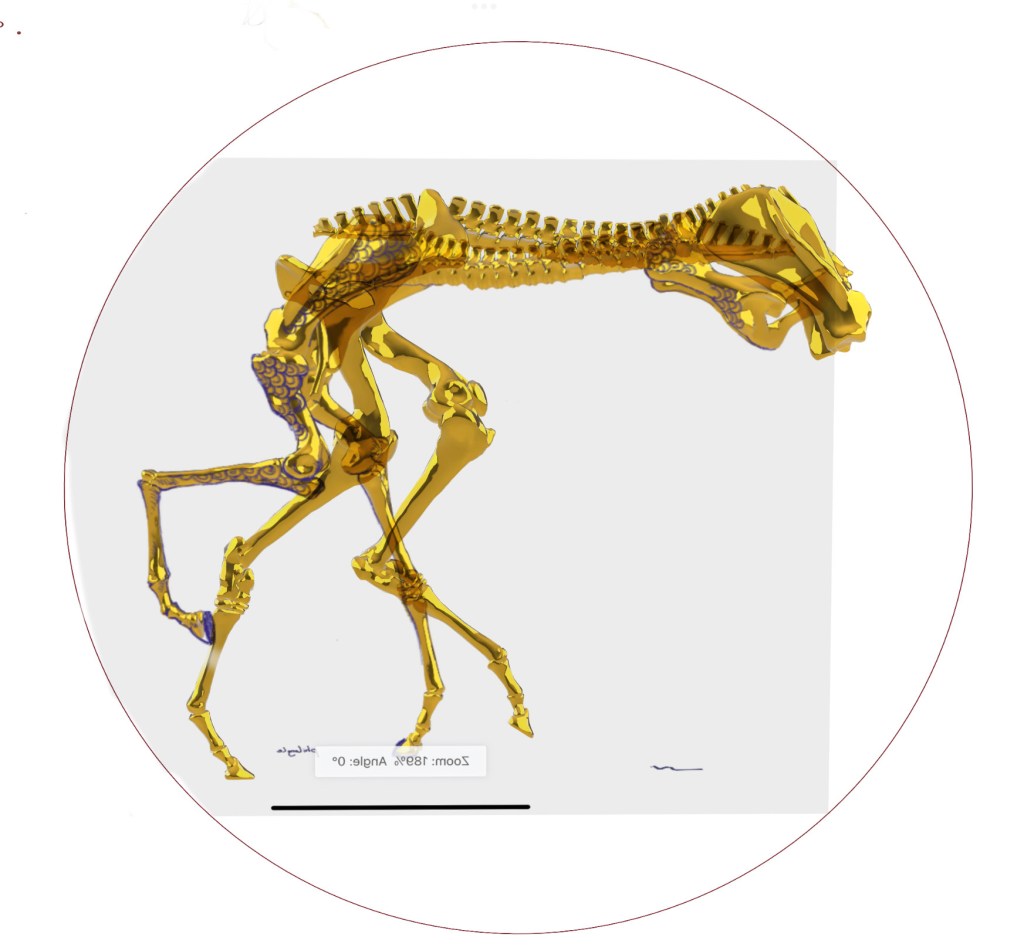 ten bulls 2022&nbsp;–